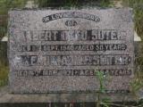 image of grave number 859883